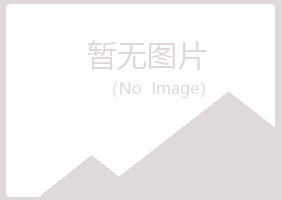 鹤岗兴山转身机械有限公司